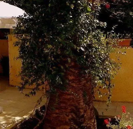 Apartment Veroniki &
